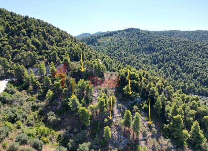 Image No.31-Propriété à vendre à Skopelos