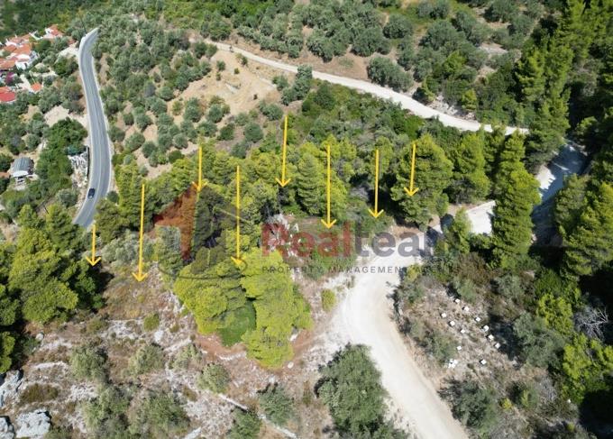 Image No.32-Propriété à vendre à Skopelos