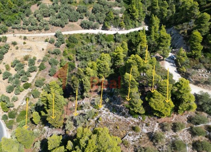 Image No.25-Propriété à vendre à Skopelos