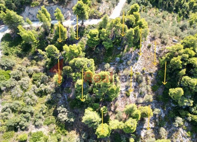 Image No.29-Propriété à vendre à Skopelos