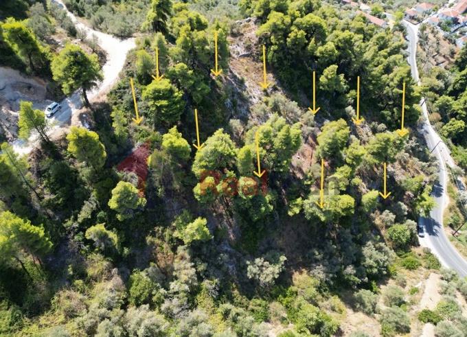 Image No.26-Propriété à vendre à Skopelos