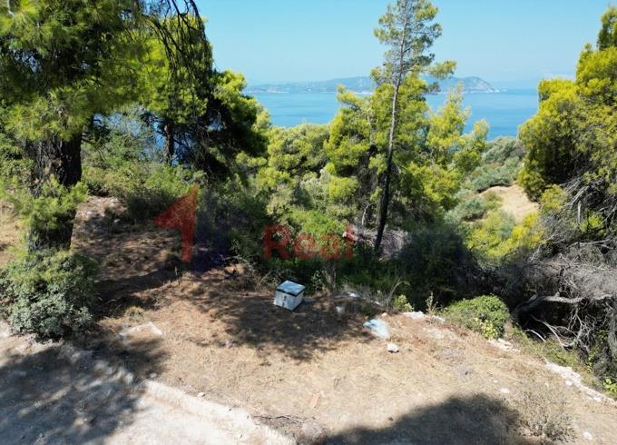 Image No.37-Propriété à vendre à Skopelos