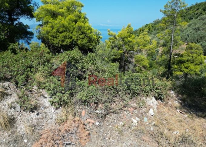 Image No.38-Propriété à vendre à Skopelos