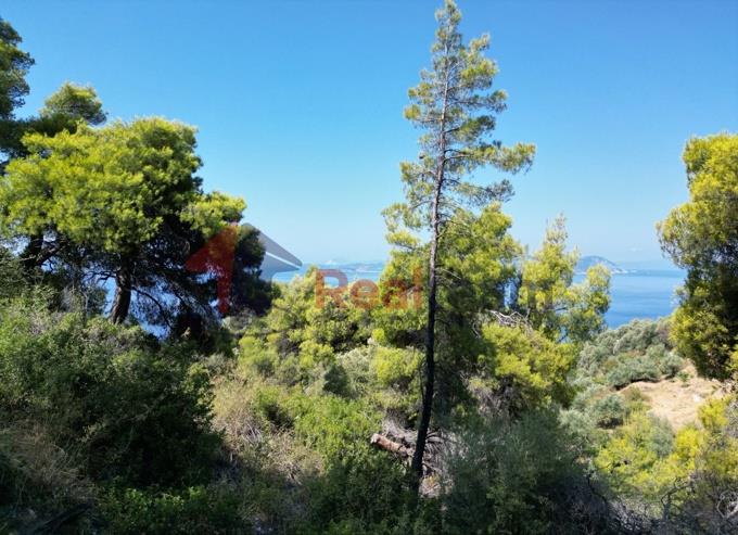 Image No.35-Propriété à vendre à Skopelos