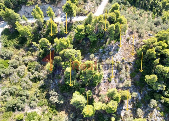 Image No.12-Propriété à vendre à Skopelos