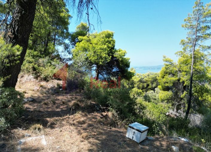 Image No.17-Propriété à vendre à Skopelos