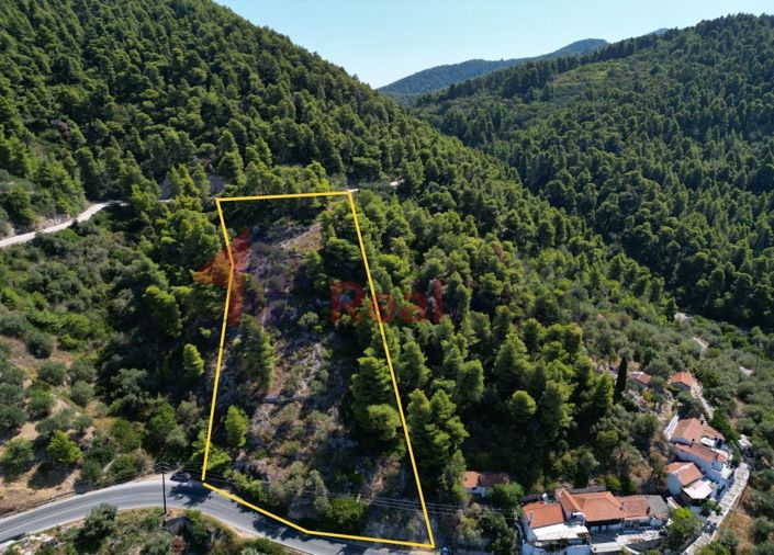 Image No.2-Propriété à vendre à Skopelos