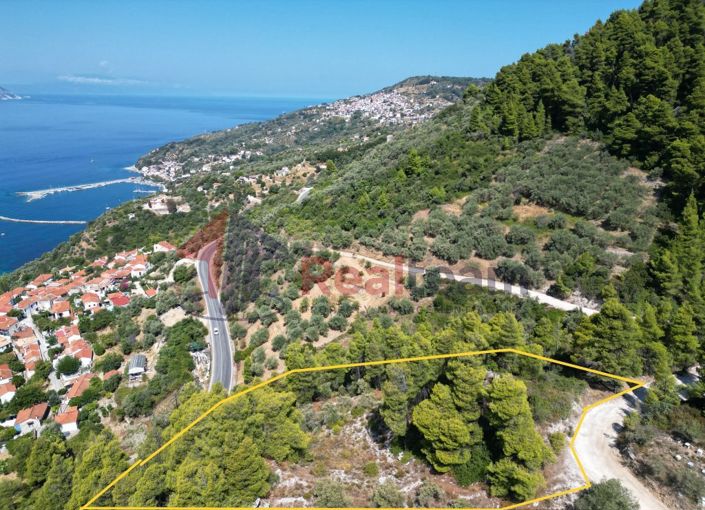 Image No.3-Propriété à vendre à Skopelos