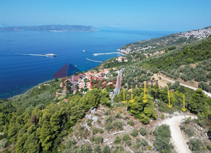 Image No.4-Propriété à vendre à Skopelos