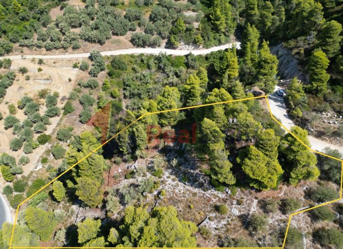 Image No.5-Propriété à vendre à Skopelos