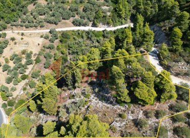 b33342b200e440dfbfc0fdfd012d4b86