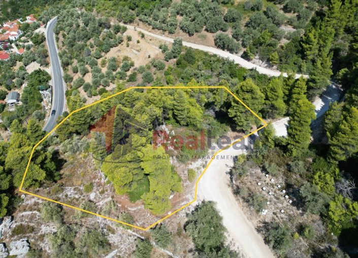 Image No.7-Propriété à vendre à Skopelos