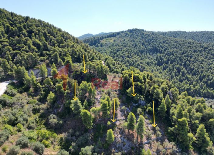 Image No.8-Propriété à vendre à Skopelos