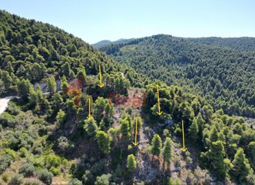 0bd2f9a655dc428f8f241db328616670