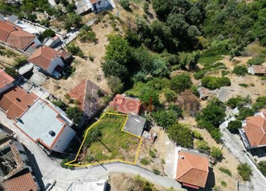 a553a101fe5f4c4d80d58f3dd4a95dad