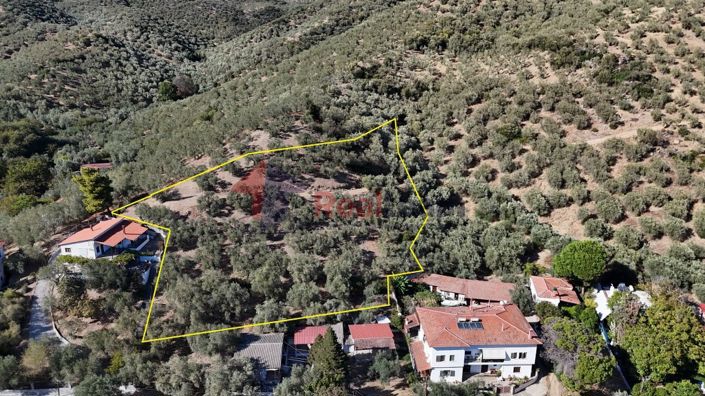 Image No.11-Property for sale