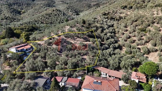 Image No.16-Property for sale