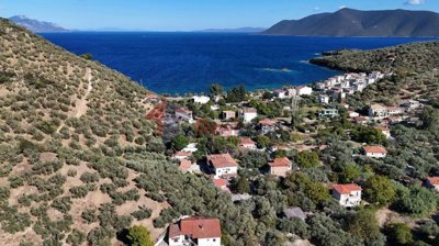 7d6481ad942a4c269aa31be8f39d577e