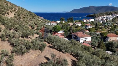 46ac2588df7f456ab8cf024a241d6e01