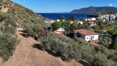 fa62be86c16c45c3a3e1e6a77e636788