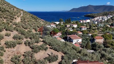 f6d0b49731524cee9efc7446cff6bbd8