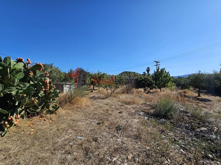 Image No.11-Propriété à vendre à Pteleos