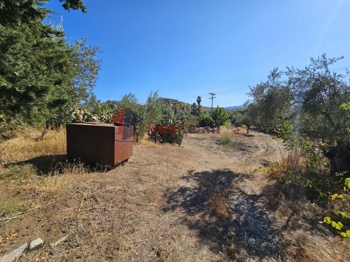 Image No.46-Propriété à vendre à Pteleos