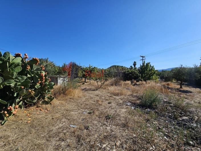 Image No.43-Propriété à vendre à Pteleos