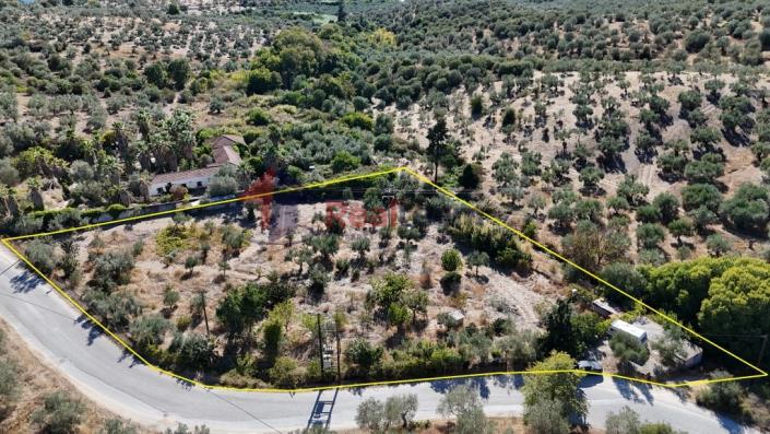 Image No.29-Propriété à vendre à Pteleos