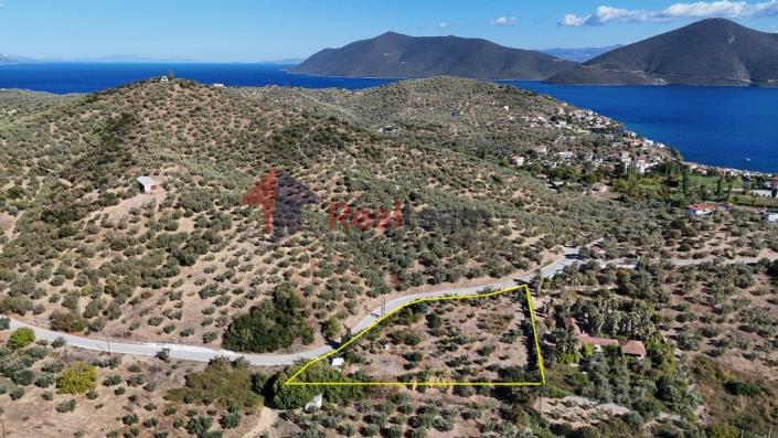 Image No.39-Propriété à vendre à Pteleos