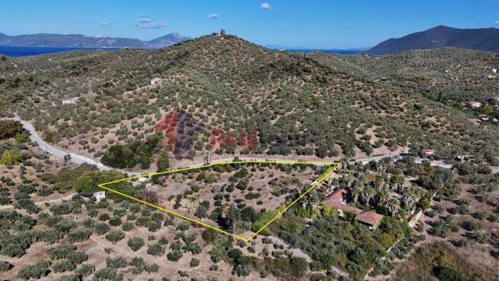 Image No.40-Propriété à vendre à Pteleos