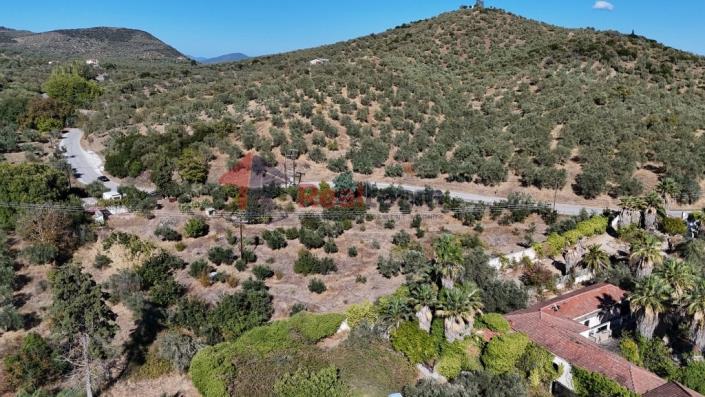 Image No.31-Propriété à vendre à Pteleos