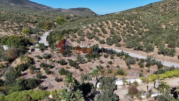 Image No.36-Propriété à vendre à Pteleos