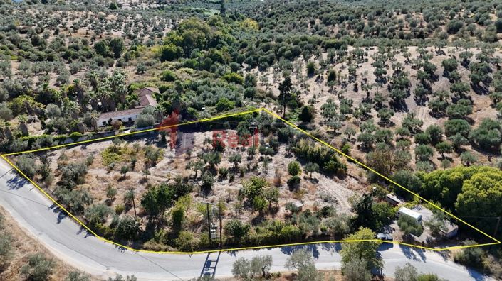 Image No.12-Propriété à vendre à Pteleos