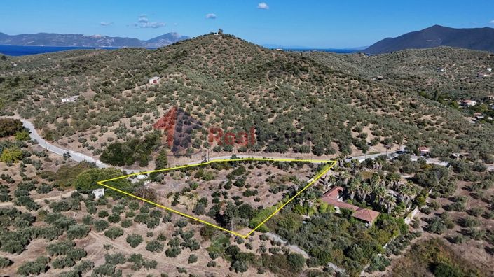 Image No.17-Propriété à vendre à Pteleos