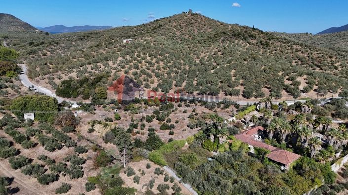 Image No.18-Propriété à vendre à Pteleos