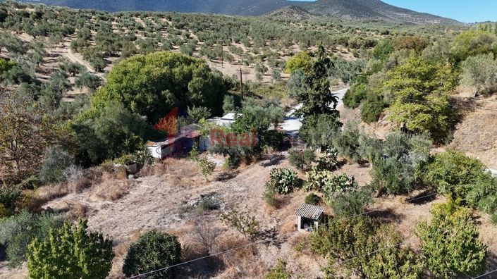 Image No.19-Propriété à vendre à Pteleos