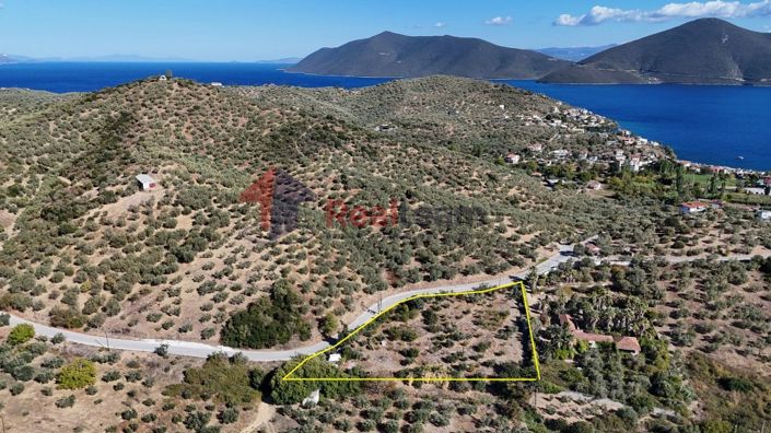 Image No.4-Propriété à vendre à Pteleos