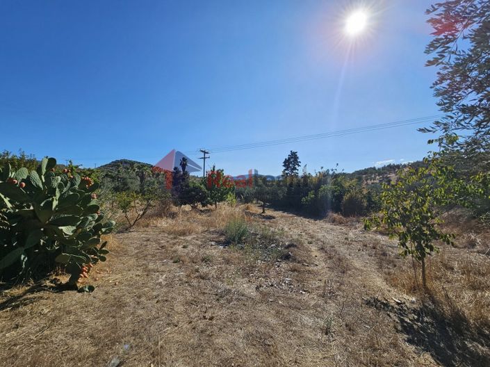 Image No.5-Propriété à vendre à Pteleos