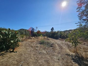 49a6da8f94ab4fcba9c0f0f03ebf1772