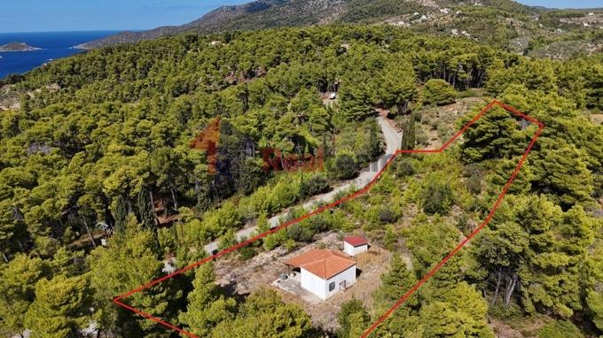 Image No.33-Propriété de 1 chambre à vendre à Alonnisos