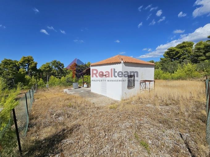 Image No.32-Propriété de 1 chambre à vendre à Alonnisos