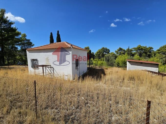 Image No.29-Propriété de 1 chambre à vendre à Alonnisos