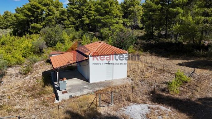 Image No.43-Propriété de 1 chambre à vendre à Alonnisos