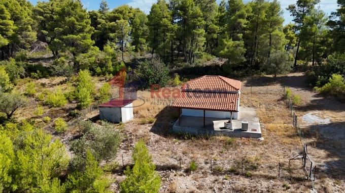 Image No.27-Propriété de 1 chambre à vendre à Alonnisos