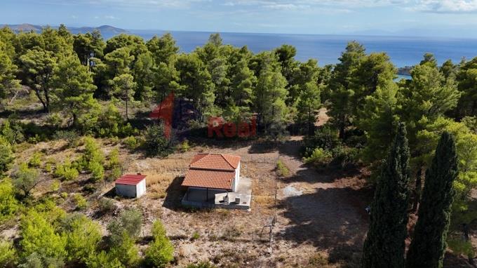 Image No.34-Propriété de 1 chambre à vendre à Alonnisos