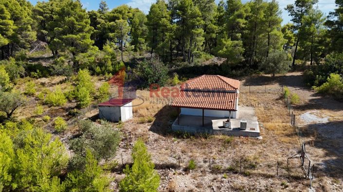 Image No.19-Propriété de 1 chambre à vendre à Alonnisos