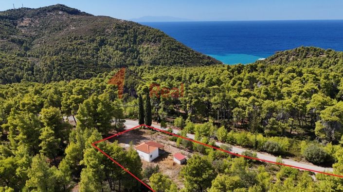 Image No.22-Propriété de 1 chambre à vendre à Alonnisos