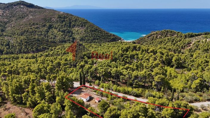 Image No.25-Propriété de 1 chambre à vendre à Alonnisos