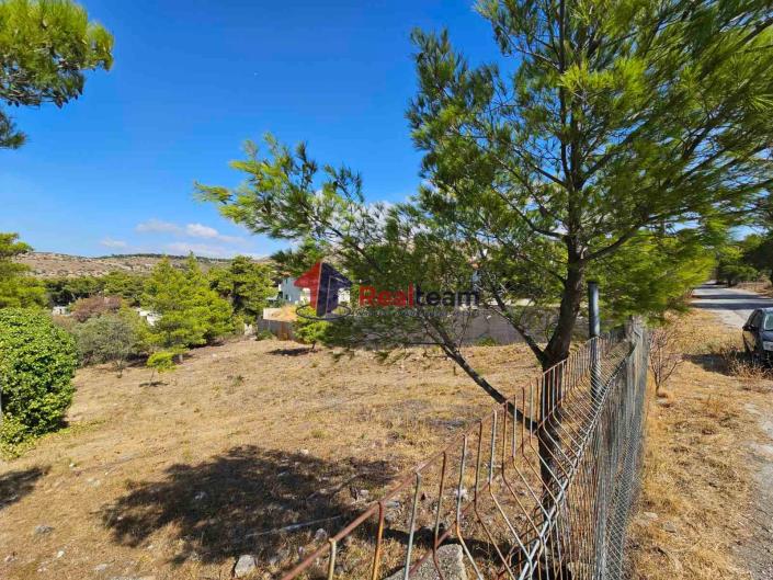 Image No.14-Property for sale